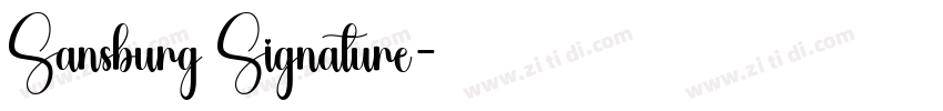 Sansburg Signature字体转换